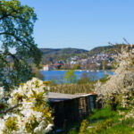 p_71939bild6Foto-djdDeutsche-Bodensee-TourismusValentin-Mueller